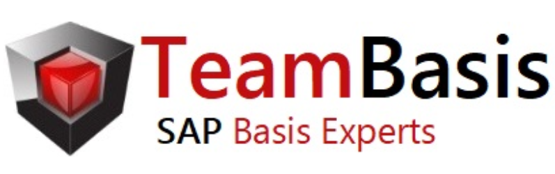 TeamBasis Support